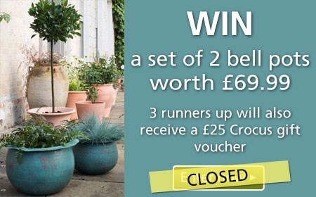 Win a set of 2 bell pots worth £69.99!