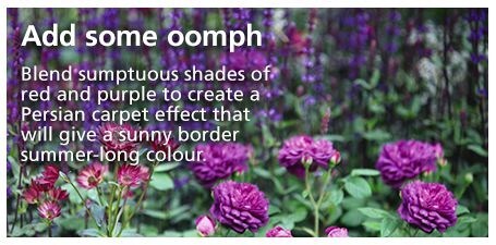 Add some oomph