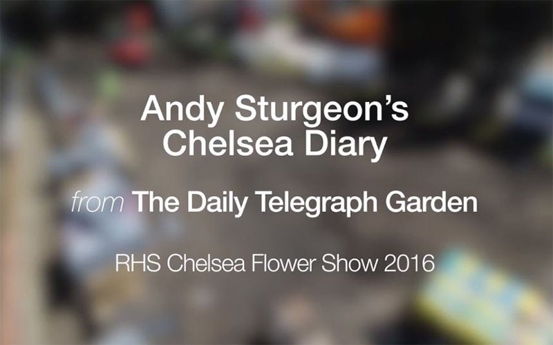 The Telegraph Garden Chelsea 2016 Episode 1