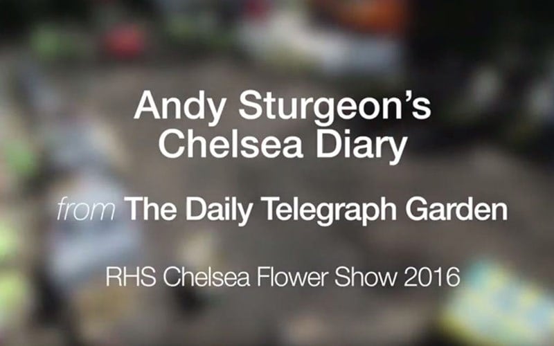 The Telegraph Garden Chelsea 2016 Episode 2