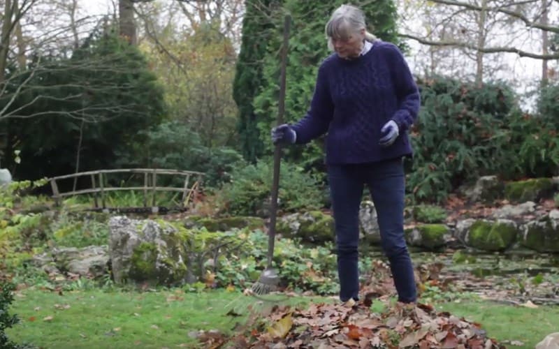 How to make leafmould