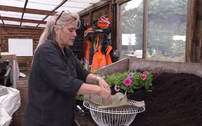 How to plant up a hanging basket