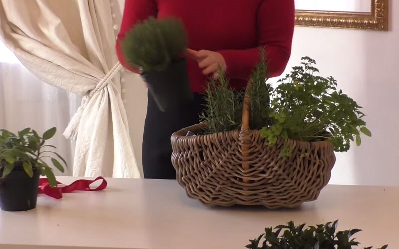 Making a herb basket for Christmas