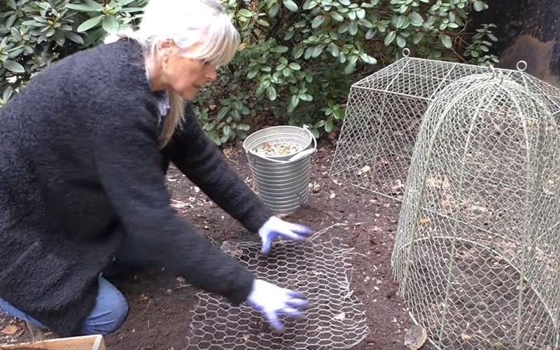 How To: Squirrel-Proof Bulbs