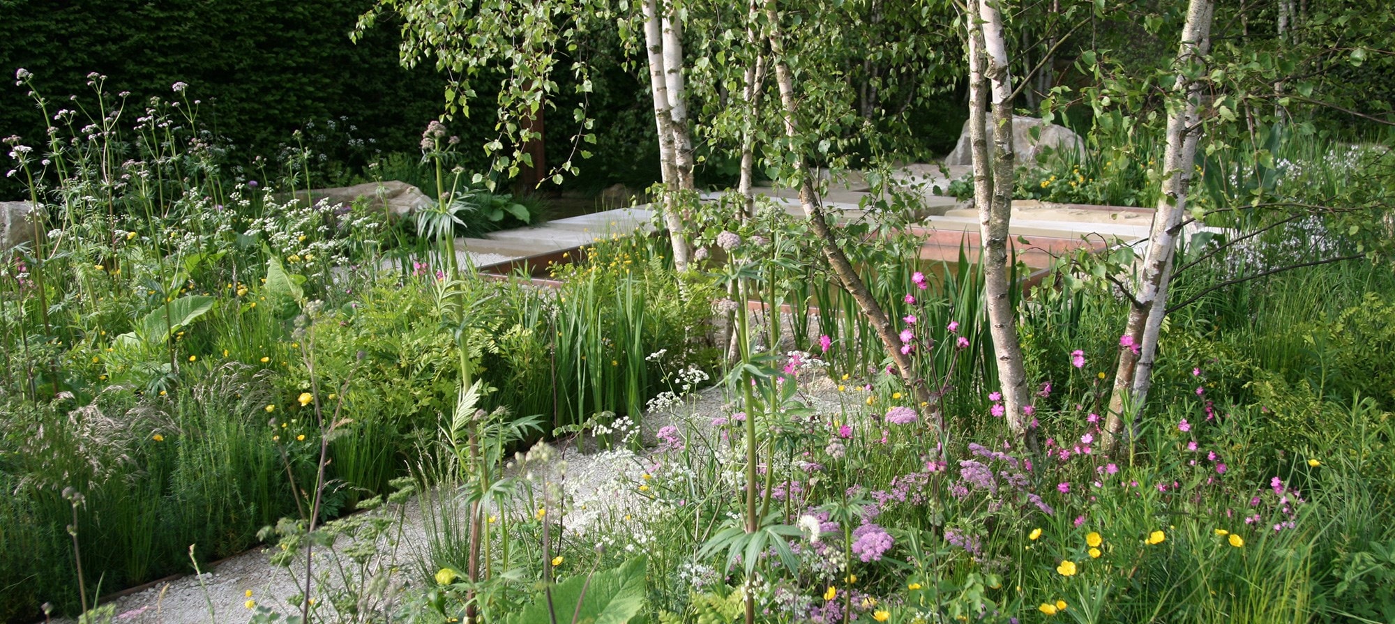 The Daily Telegraph Garden designed by Sarah Price