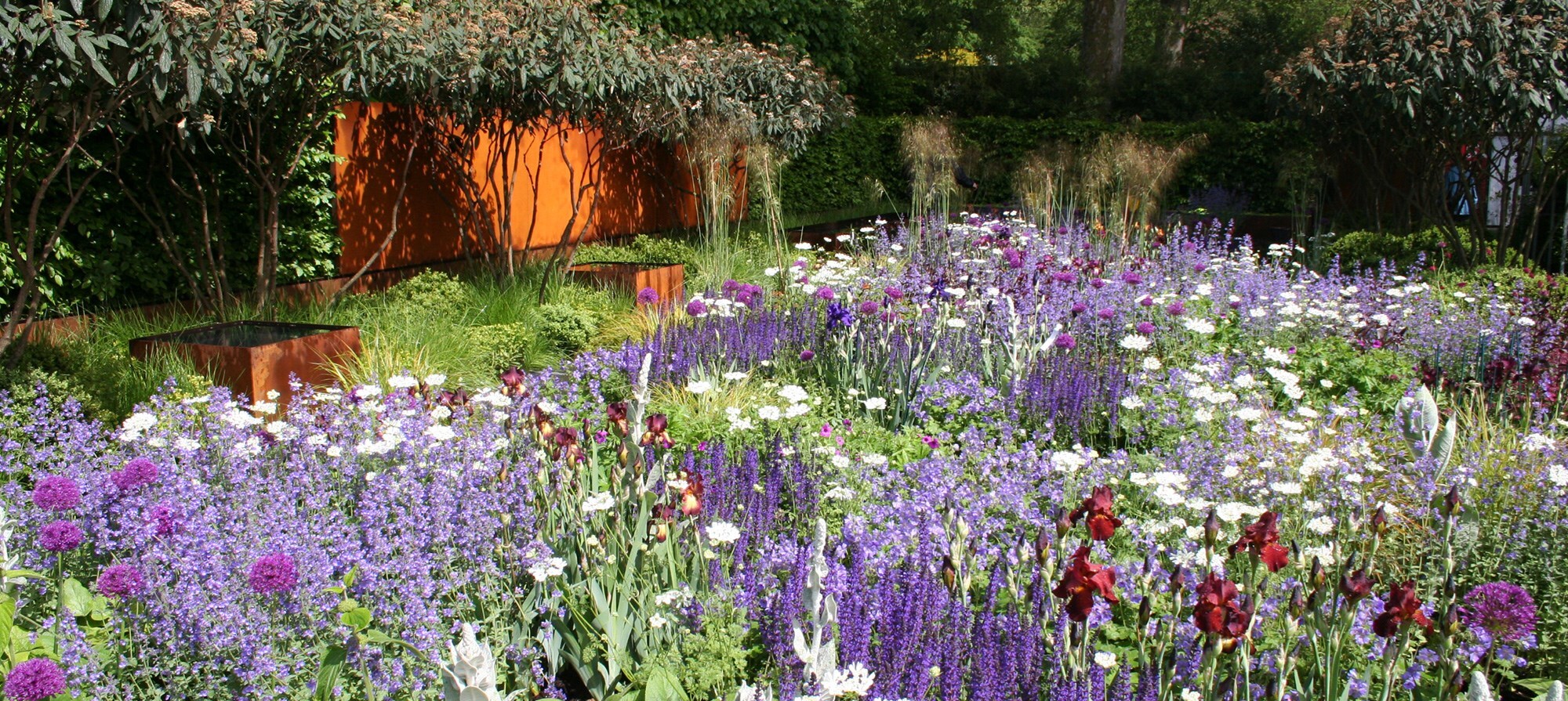 The Daily Telegraph Garden designed by Tom Stuart-Smith
