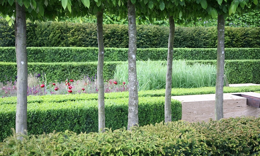 Laurent-Perrier Garden