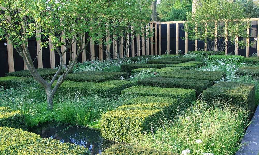 The Daily Telegraph Garden