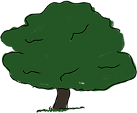 Oak tree