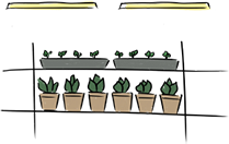 LED lights