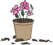 Peat free compost