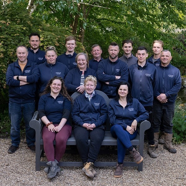 Our amazing team at the Crocus nursery have worked for many months to grow and care for the plants.
