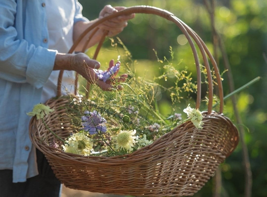 Leah Lane's kitchen garden collection