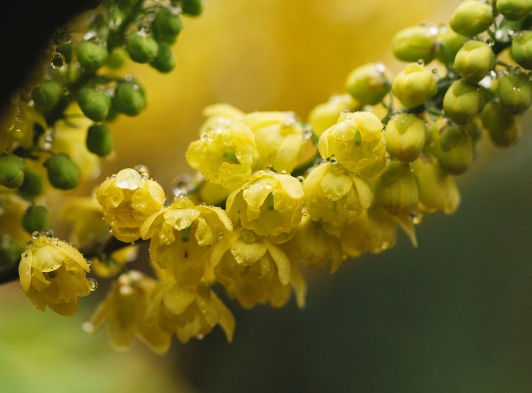 Helen's choice for November