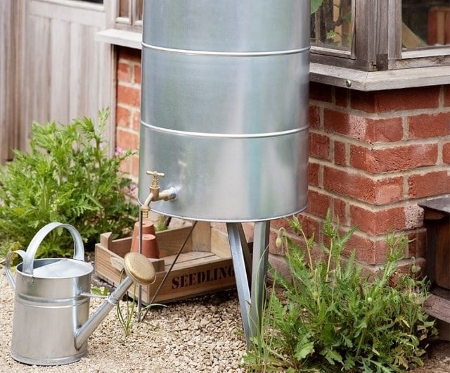 Saving & Harvesting Water & Creating a Rain Garden
