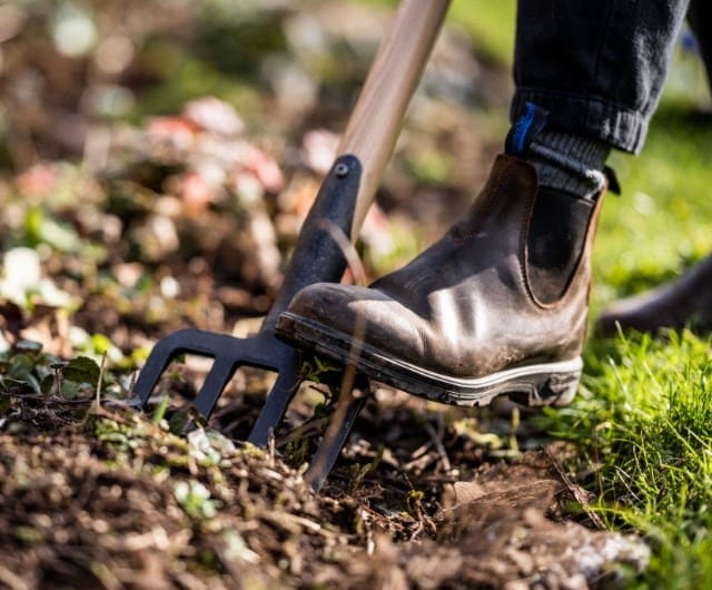 ashley_trees_digging
