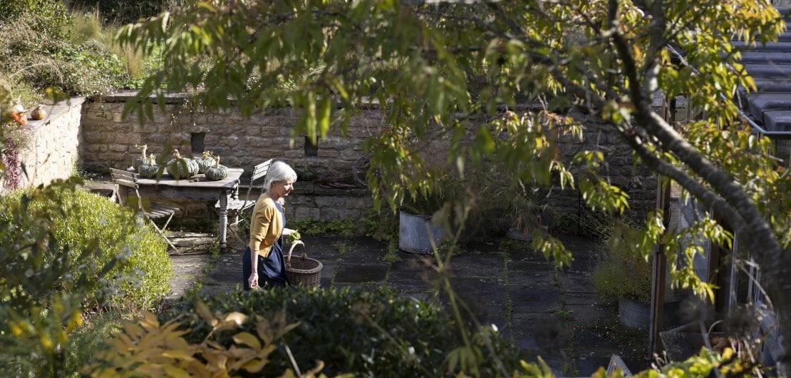 Pruning Early Flowering Shrubs