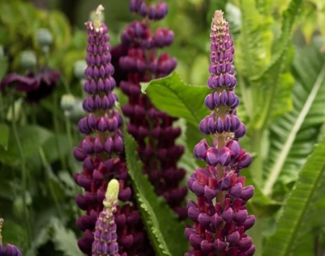 Step into your own Chelsea style