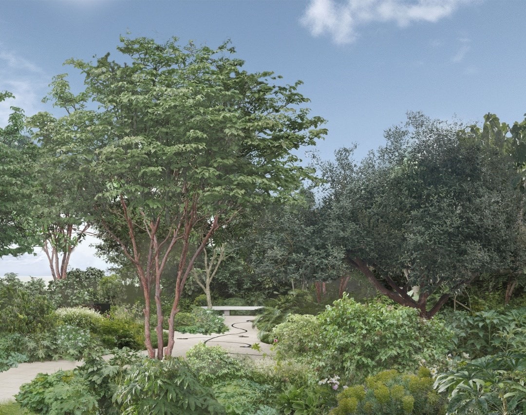 Crocus Returns to RHS Chelsea Flower Show 2026