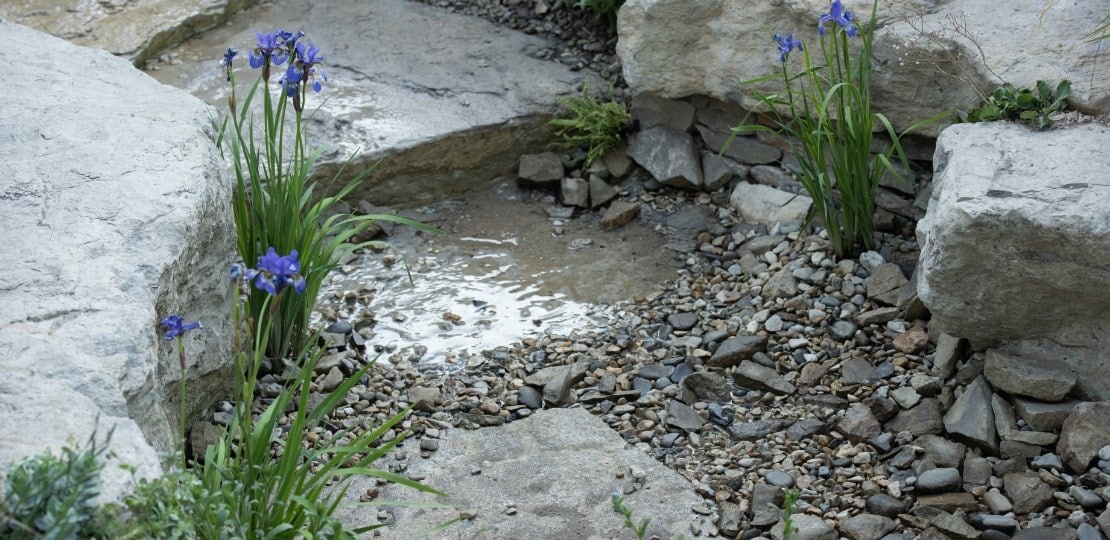Manage water wisely