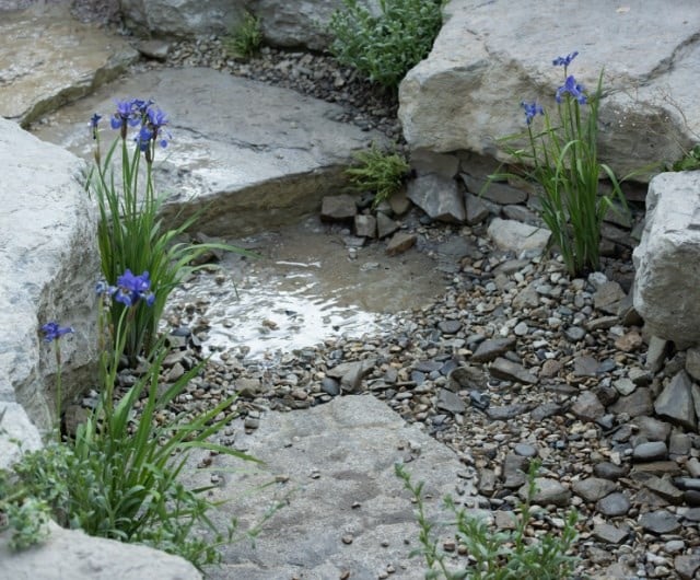 Manage water wisely