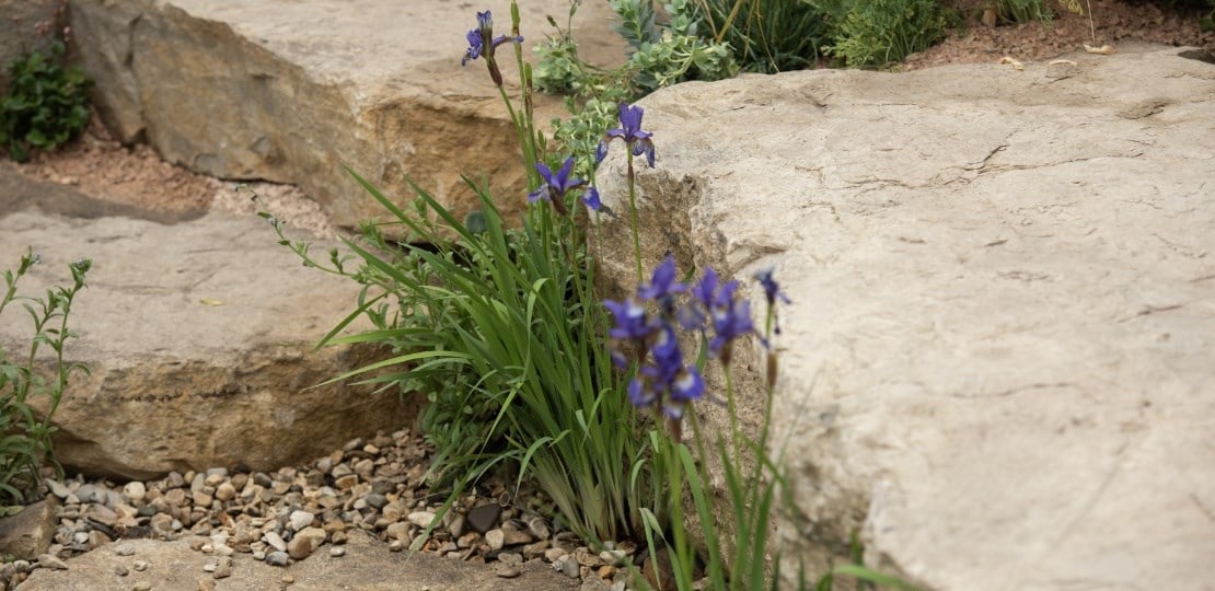 Choose permeable materials for paving and pathways