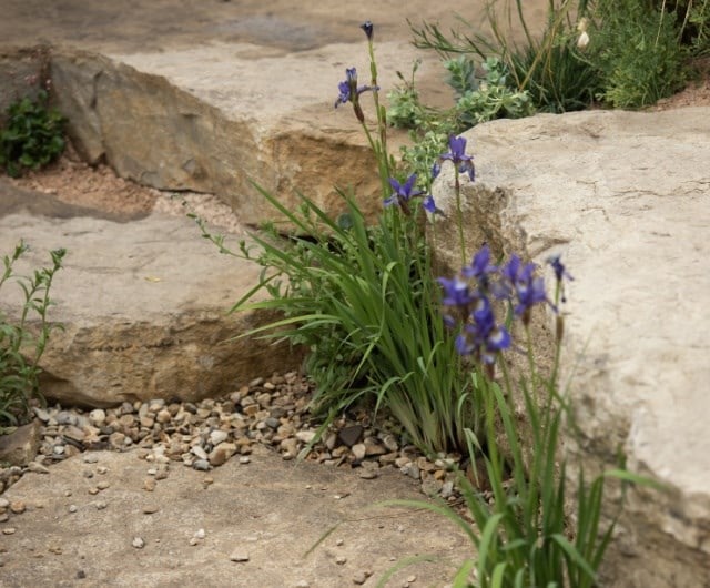 Choose permeable materials for paving and pathways
