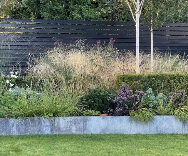 grasses_lucy_sesleria