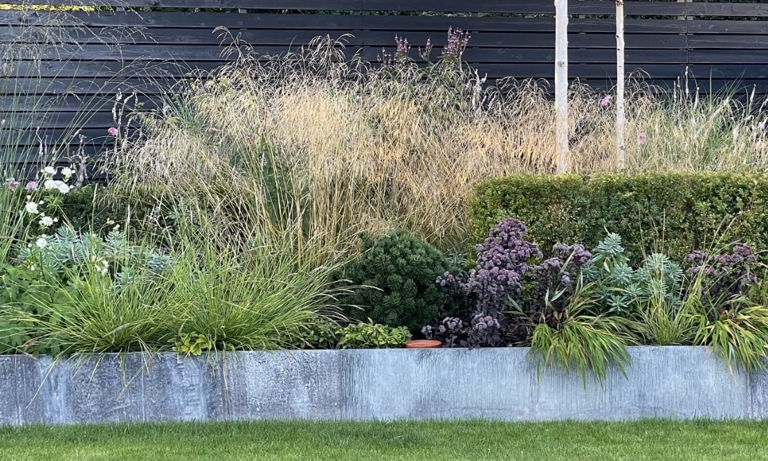 grasses_lucy_sesleria