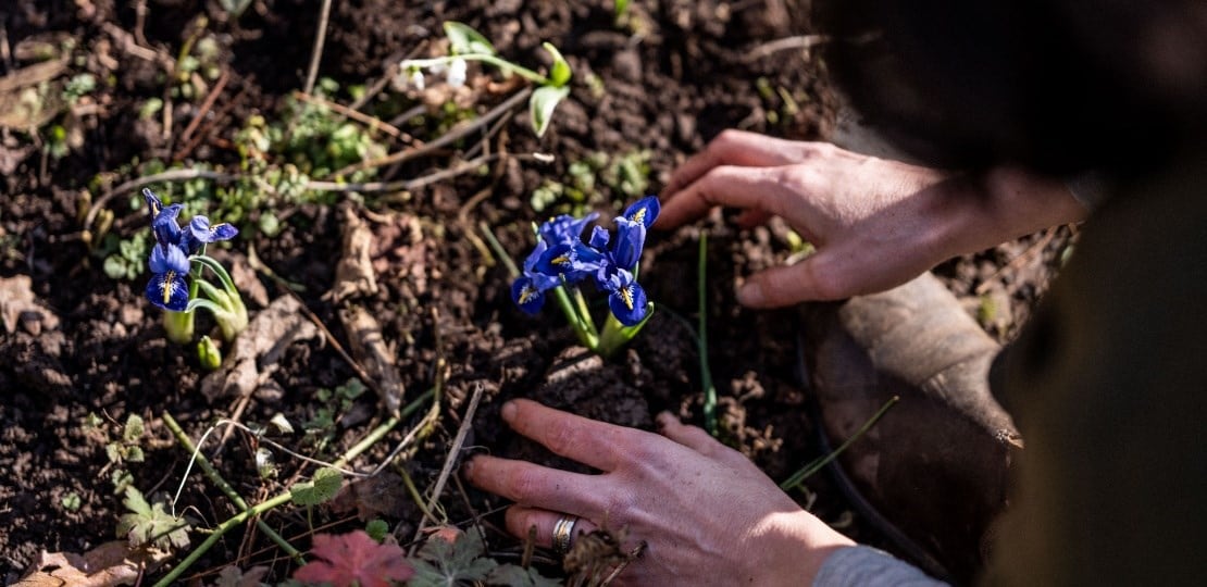 three_ways_soil