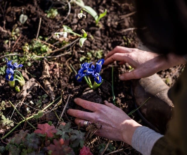 three_ways_soil
