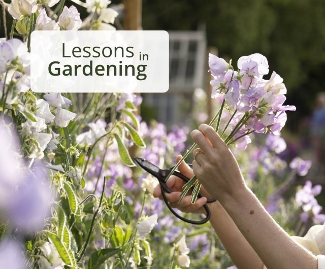 Lessons in Gardening
