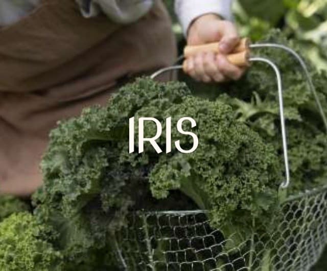 Share your progress on iris