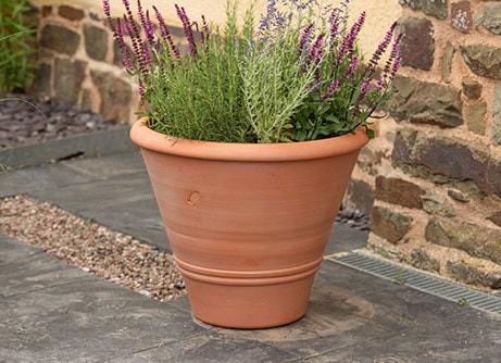 Pots & containers