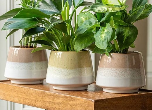 Indoor pots