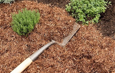 Garden mulch