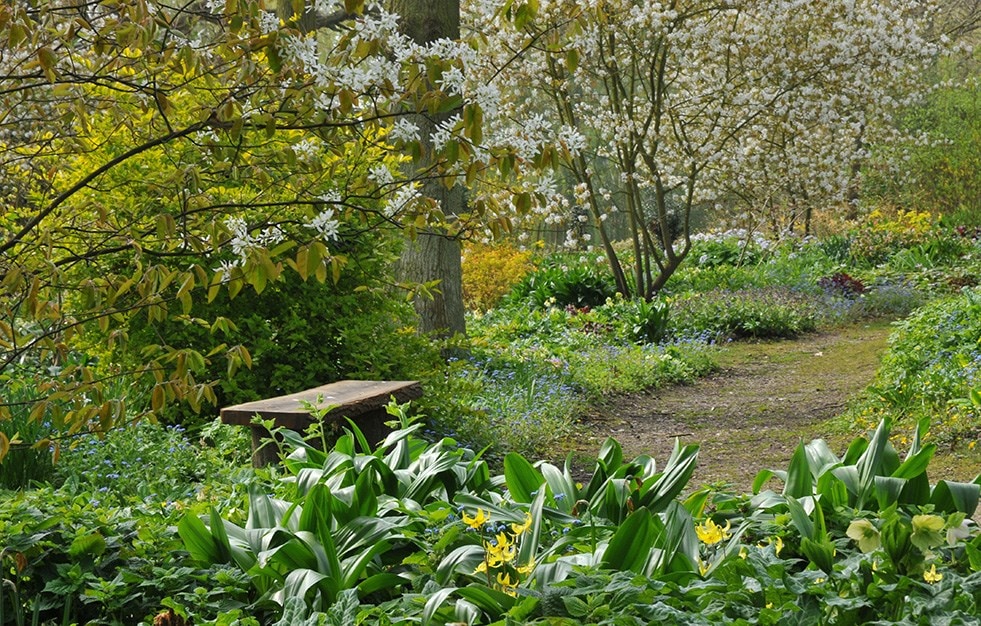 Beth Chatto's Gardens