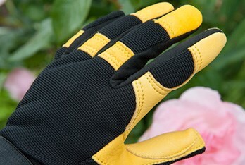 Shop Gardening gloves