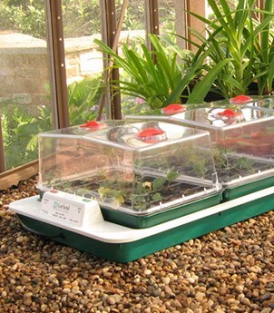 Seed trays & propagators