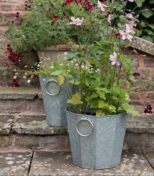 Pots & containers