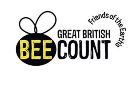 Great British Bee Count