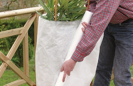 How to protect your plants this winter