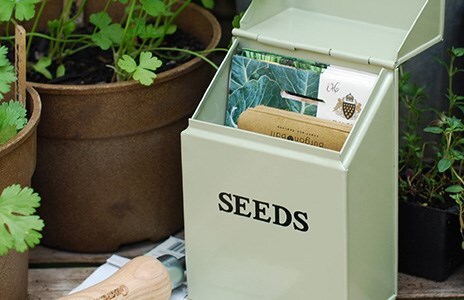 Sowing seeds indoors