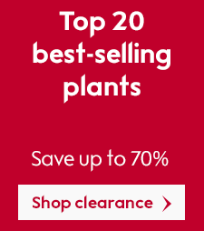 Top 20 best-selling plants