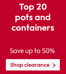 Top 20 pots and containers