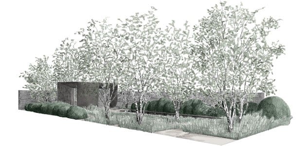 plan of Tom Stuart Smith's Laurent Perrier Garden