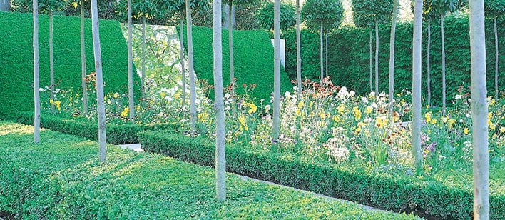 picture of Tom Stuart-Smith's 2000 Gold winning Chelsea Garden