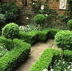 What's your style - Formal Planting