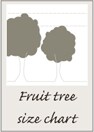 Fruit tree size chart