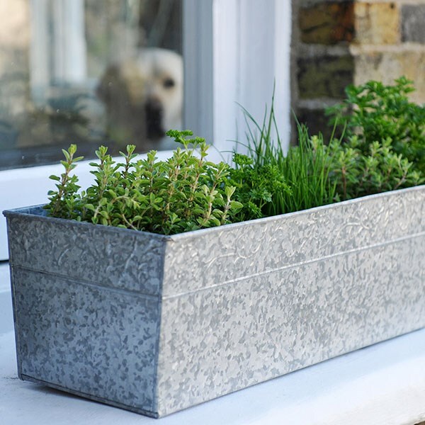 Herbs & trough combination